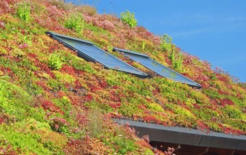 Harelaw living roof systems