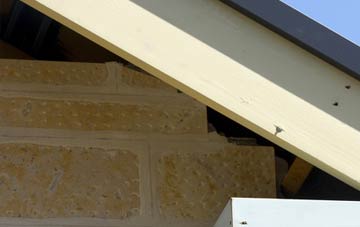 soffit repair Harelaw